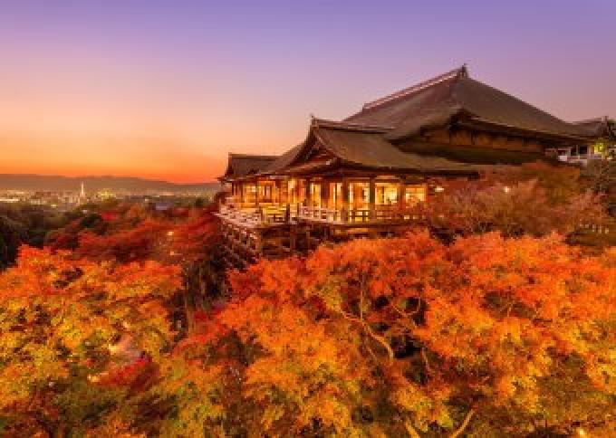 Odkrywając Japonię. Zachwycające miasta, gorące źródła i noc w świątyni